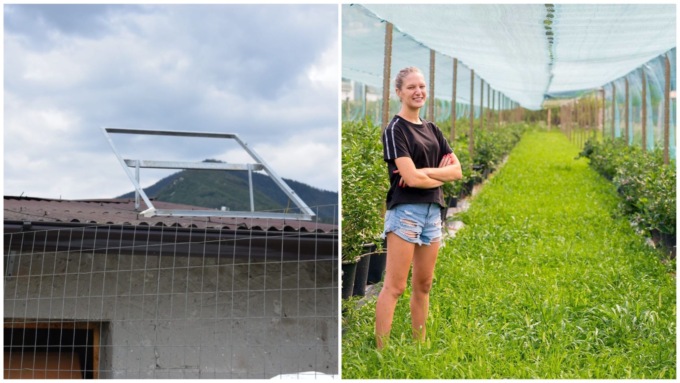 Furto nel terreno di un’imprenditrice 25enne: Savno ripagherà due pannelli fotovoltaici rubati