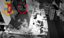 Il video del 22enne che sfonda la vetrata del bar con un tombino: 5 furti messi a segno
