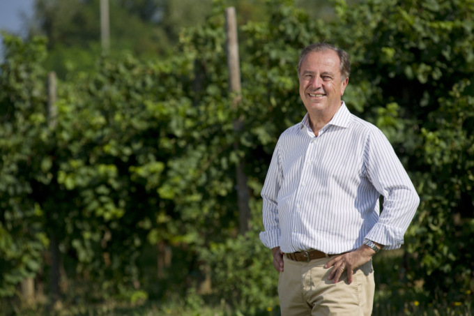 Prosecco, “guerra” tra i Consorzi. Il gruppo vinicolo di Assindustria Venetocentro: “Polemiche sconcertanti”