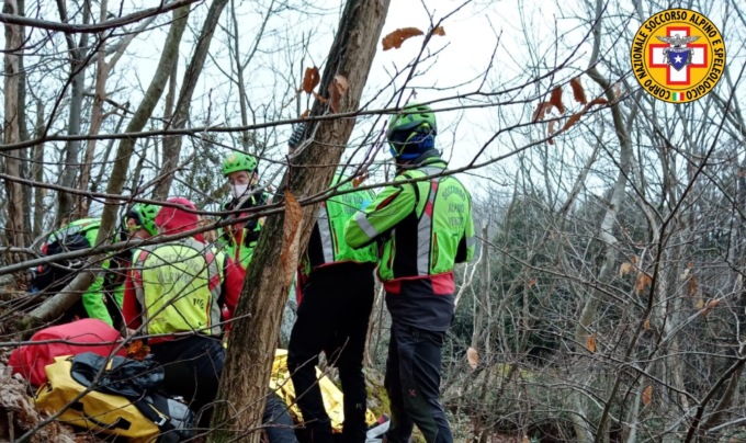 Punta da un insetto nel bosco, escursionista trevigiana si sente male