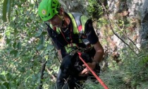 Cane finisce in un canale del Pizzoc: Ambra recuperata dal soccorso Alpino