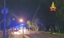 Tragedia di Godega: chi sono i quattro giovani amici morti nell'incidente stradale