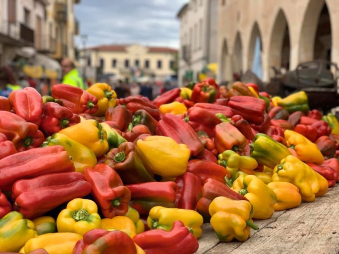 Cosa fare a Treviso e provincia nel weekend: gli eventi di sabato 27 e domenica 28 agosto 2022