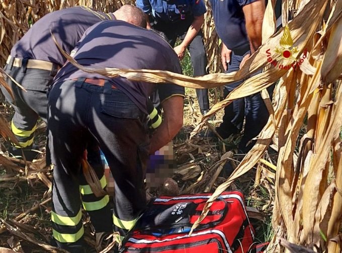 Anziano scomparso: è stato ritrovato vivo in un campo di granturco a Moriago della Battaglia