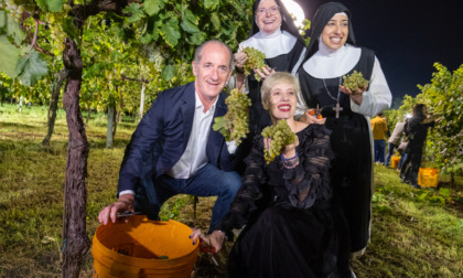 Vendemmia Notturna “Grappoli di Luna” di La Vigna di Sarah, le foto dell'ottava edizione: "Grande successo"