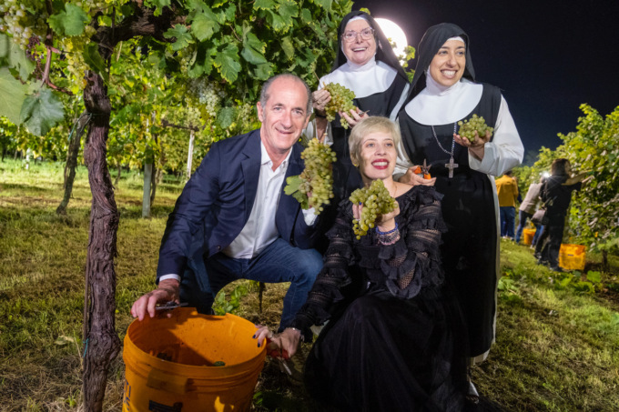 Vendemmia Notturna “Grappoli di Luna” di La Vigna di Sarah, le foto dell’ottava edizione: “Grande successo”