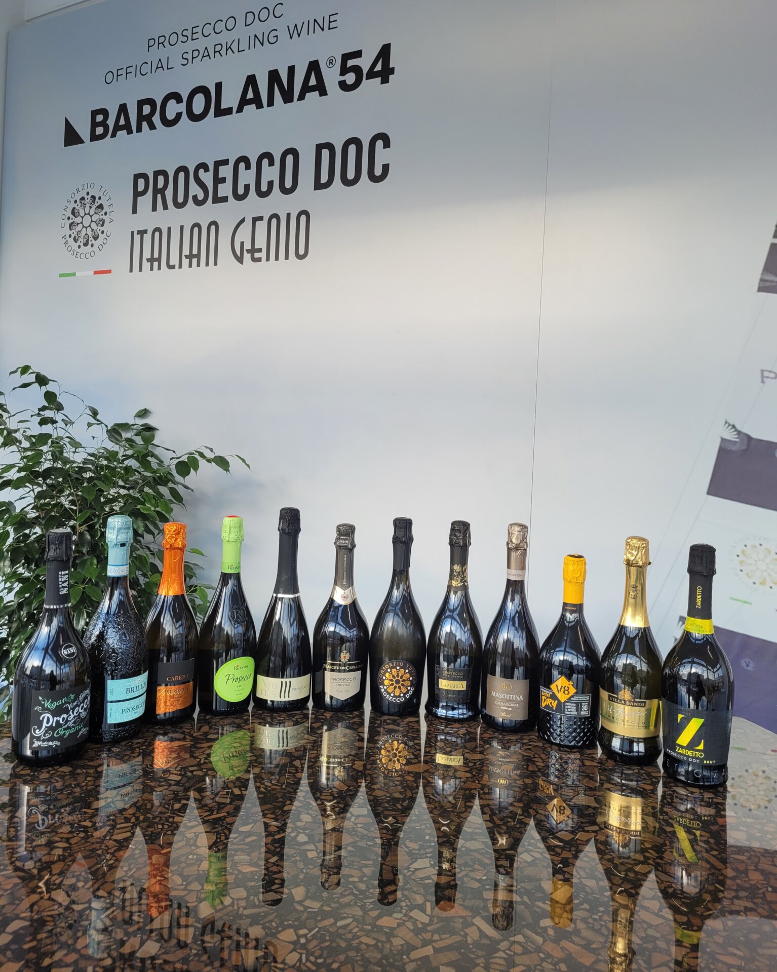 Prosecco DOC Lounge Bottiglie (2)