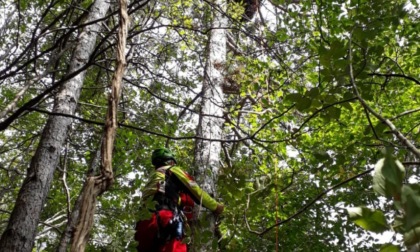 Precipita col parapendio e resta incastrato su un abete a 12 metri d'altezza