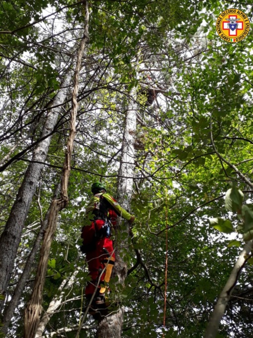 Precipita col parapendio e resta incastrato su un abete a 12 metri d’altezza