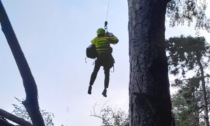Precipita col parapendio e finisce su un pino a 10 metri d'altezza, le immagini dei soccorsi