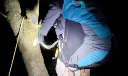 Precipita col parapendio dopo il decollo e resta incastrato sull'albero