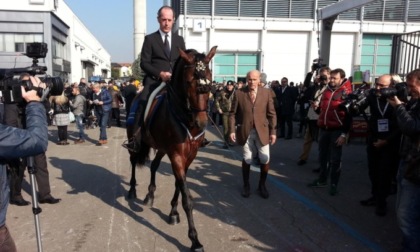 Ippovia delle Colline del Prosecco, Zaia rilancia il progetto a Fieracavalli