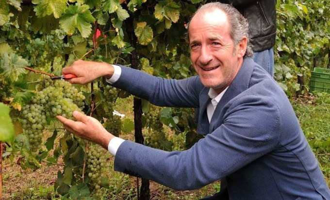 Veneto primo in Italia per valore economico DOP e IGP: Treviso e Verona in testa