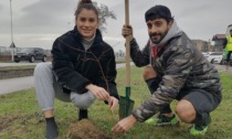 Zero Branco: coppia di sposi dona 60 alberi al Comune come bomboniere di nozze