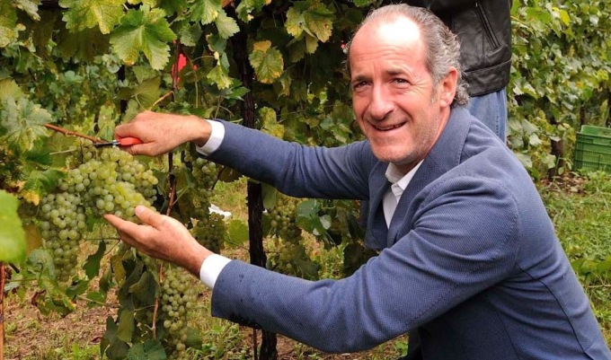 Vino, la produzione 2022 in Veneto cresce del 7,3%. Zaia: “Merito della resilienza dei nostri produttori”