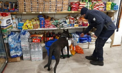Treviso, maxi controlli in via Zenson