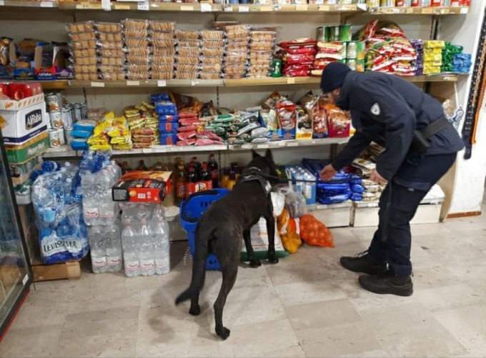 Treviso, maxi controlli in via Zenson