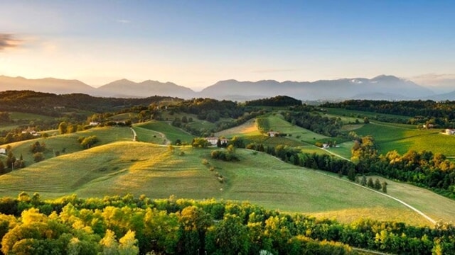 Cosa fare a Treviso e provincia nel weekend: gli eventi di sabato 25 e domenica 26 febbraio 2023