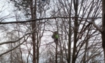 Il tedesco "volante" precipita col parapendio e resta appeso sull'albero a 15 metri da terra