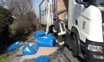 Breda di Piave, camion perde il carico di generi alimentari sulla strada
