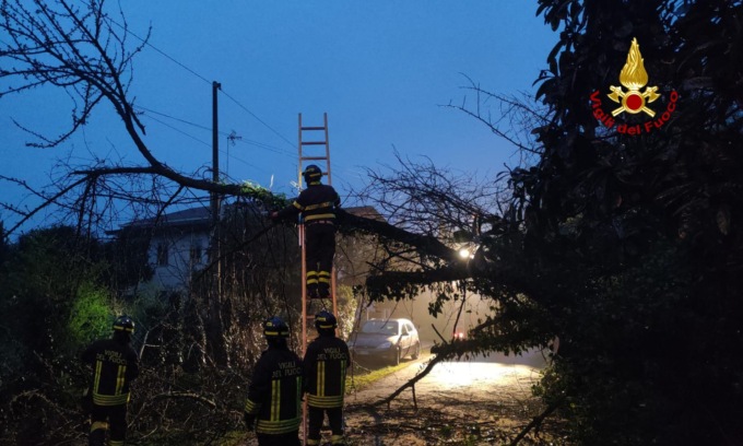 Treviso, le foto dell’albero caduto in strada che ha bloccato l’accesso a una casa