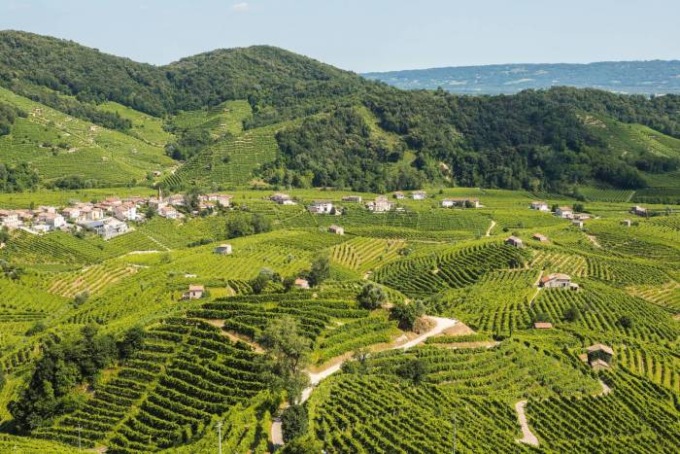Tre Bicchieri 2025: il Gambero Rosso premia 13 vini trevigiani