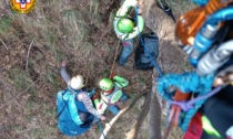 Olandese in parapendio precipita sul Grappa: trovata appesa su un albero a 10 metri da terra