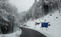 Nevicata di metà aprile, i mezzi della Provincia al lavoro tutta la notte su Grappa, Cansiglio e Pian de le Femene