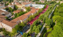 Tripudio rosa a Treviso, oltre 10mila donne in corsa per dire: "Io ci sono"