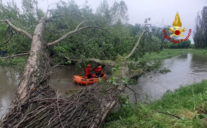 Maltempo, enorme albero cade nel Musestre: intervento dei Vigili del fuoco per evitare l’effetto “diga”