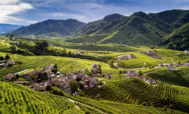 Conegliano Valdobbiadene Prosecco DOCG, presentato il Primo Rapporto di Sostenibilità