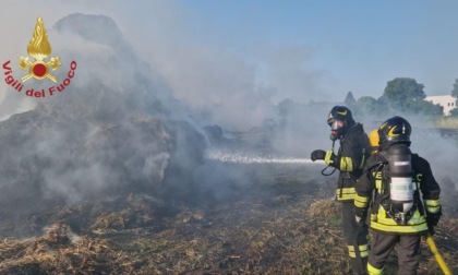 Morgano, rotoballe avvolte dalle fiamme: vigili del fuoco in azione da ore