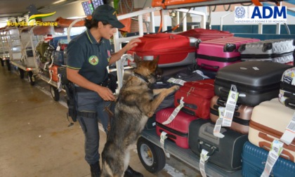 Treviso, intercettato denaro contante per 565mila euro e segnalate 33 persone per illeciti valutari all'aeroporto "Canova"