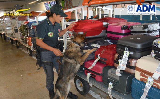 Treviso, intercettato denaro contante per 565mila euro e segnalate 33 persone per illeciti valutari all’aeroporto “Canova”