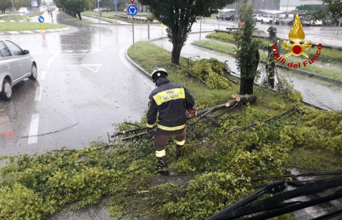 Maltempo nel trevigiano, ancora numerosi danni: ci sono anche dei feriti colpiti in testa dalla grandine