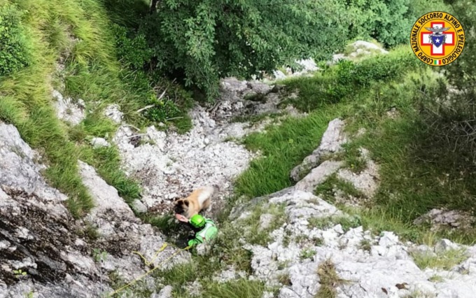 Muna sfugge alla giovane proprietaria e finisce bloccata in un canale