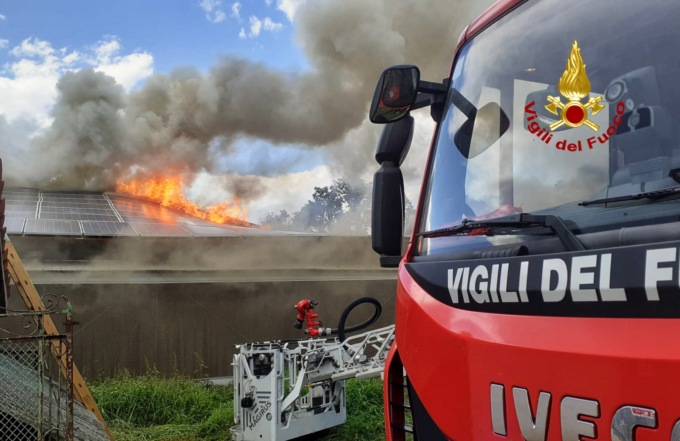 Volpago del Montello, le foto dell’incendio al capannone dell’allevamento: morte asfissiate migliaia di galline ovaiole