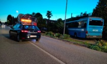 Paura sulla Noalese, l'autobus finisce nel giardino di una casa per evitare il frontale con un fuoristrada