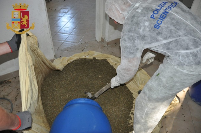 L’insospettabile 22enne che aveva avviato una centrale di spaccio in casa: scoperti 50 kg di marijuana