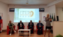 Veneto Food Excellence 2023, premiati anche quattro ristoranti trevigiani. Ecco quali
