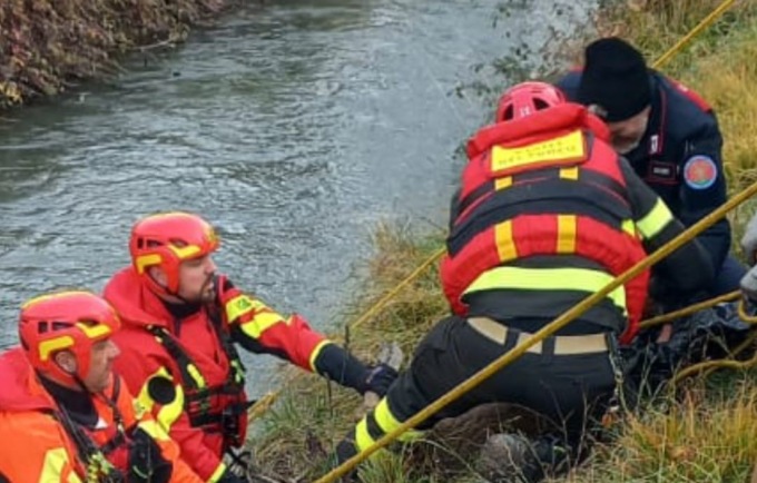 Cervo ferito finisce nel canale Brentella, salvato dai Carabinieri e dai Vigili del Fuoco