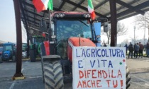 La protesta dei trattori arriva nella Marca, attesi 500 agricoltori a Silea