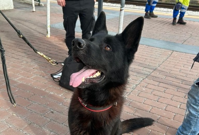 Controlli in stazione, grazie al fiuto di Garwin smascherati due spacciatori