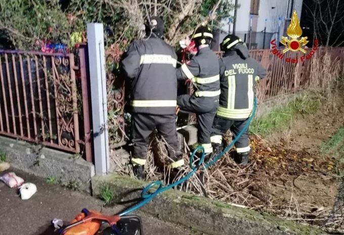 Investita da un’auto, finisce contro un albero nel cortile di un’abitazione