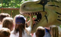 Al Parco degli Alberi Parlanti di Treviso arrivano dinosauri, animali preistorici e draghi a grandezza naturale