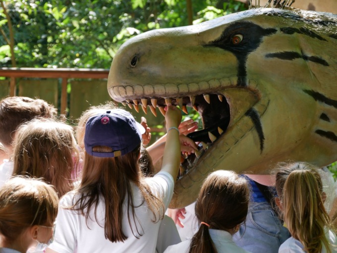 Al Parco degli Alberi Parlanti di Treviso arrivano dinosauri, animali preistorici e draghi a grandezza naturale