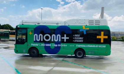 Quest'estate a Treviso si potranno prenotare gli autobus a chiamata: ecco come funziona il servizio MOM+