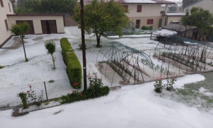 Violenta grandinata a Conegliano, città imbiancata in pochi minuti: danni alle auto e nelle campagne