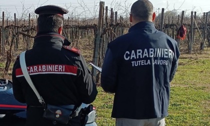 Impiego di lavoratori "in nero", sospese quattro attività (con maxi multa) in provincia di Treviso