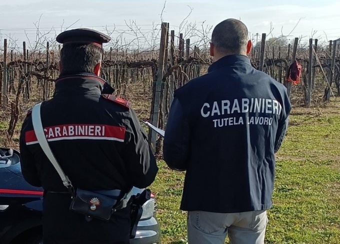 Impiego di lavoratori “in nero”, sospese quattro attività (con maxi multa) in provincia di Treviso